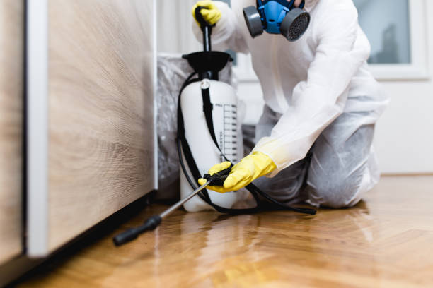 Insect Control in Silver Springs, FL