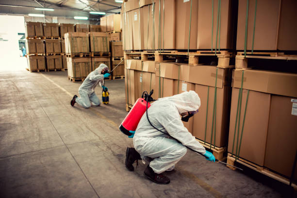 Professional Pest Control in Silver Springs, FL
