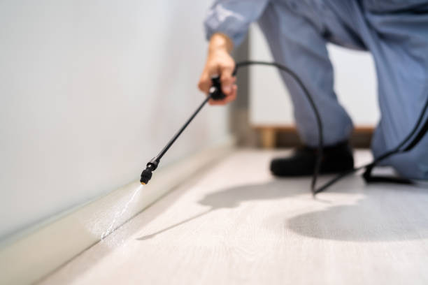 Best Pest Removal Services  in Silver Springs, FL
