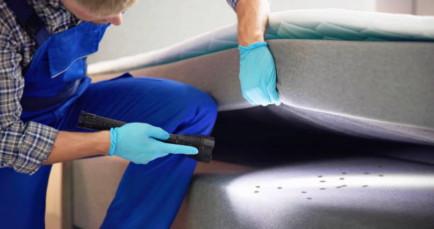 Best Affordable Pest Control Services  in Silver Springs, FL