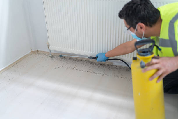 Best Residential Pest Control  in Silver Springs, FL